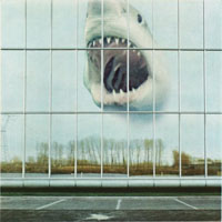 Black-Mountain-Wilderness-Heart